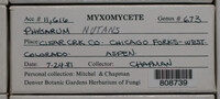 Image Associated With the Occurence